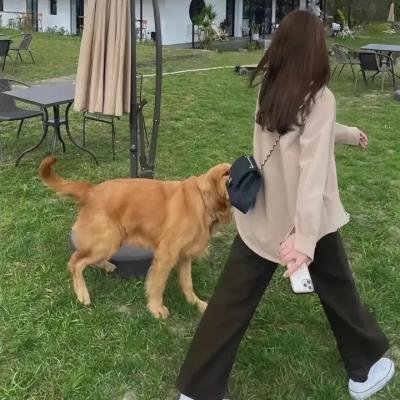 格林伯格